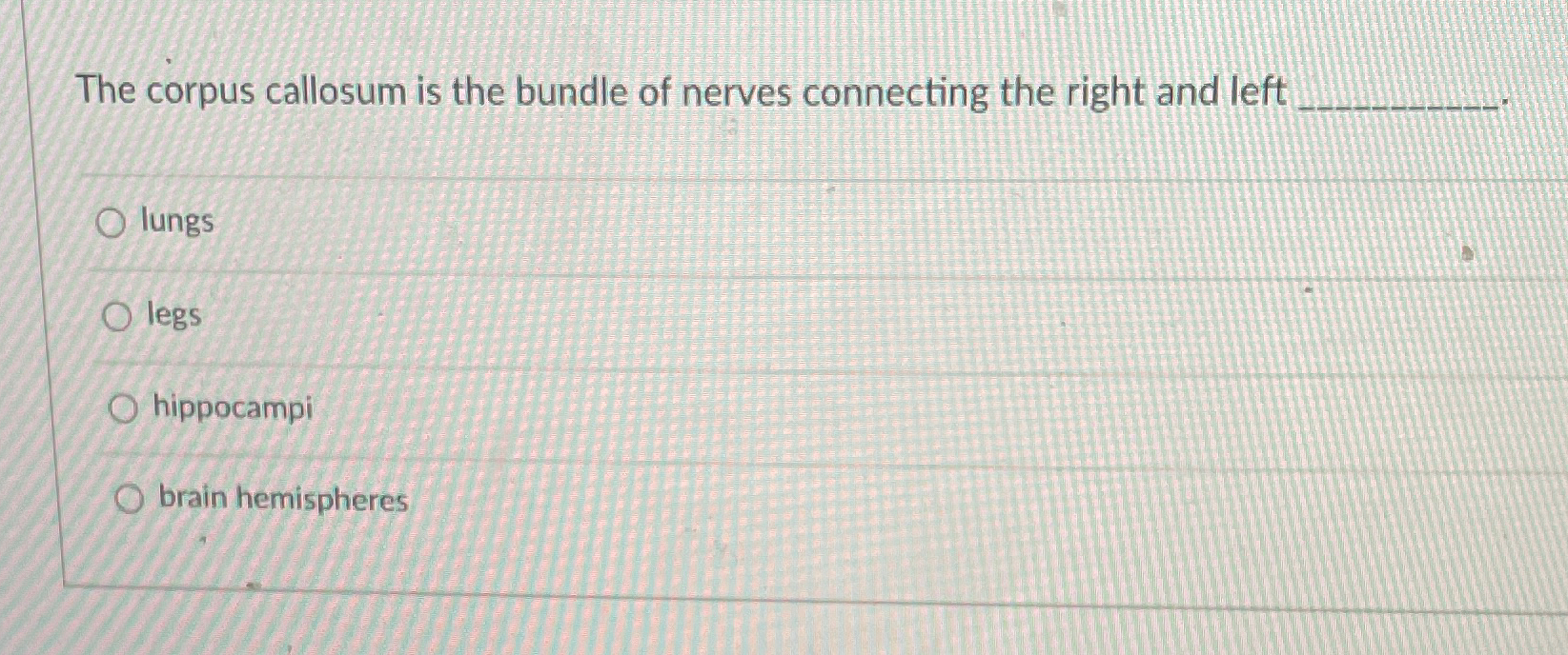 Solved The corpus callosum is the bundle of nerves | Chegg.com