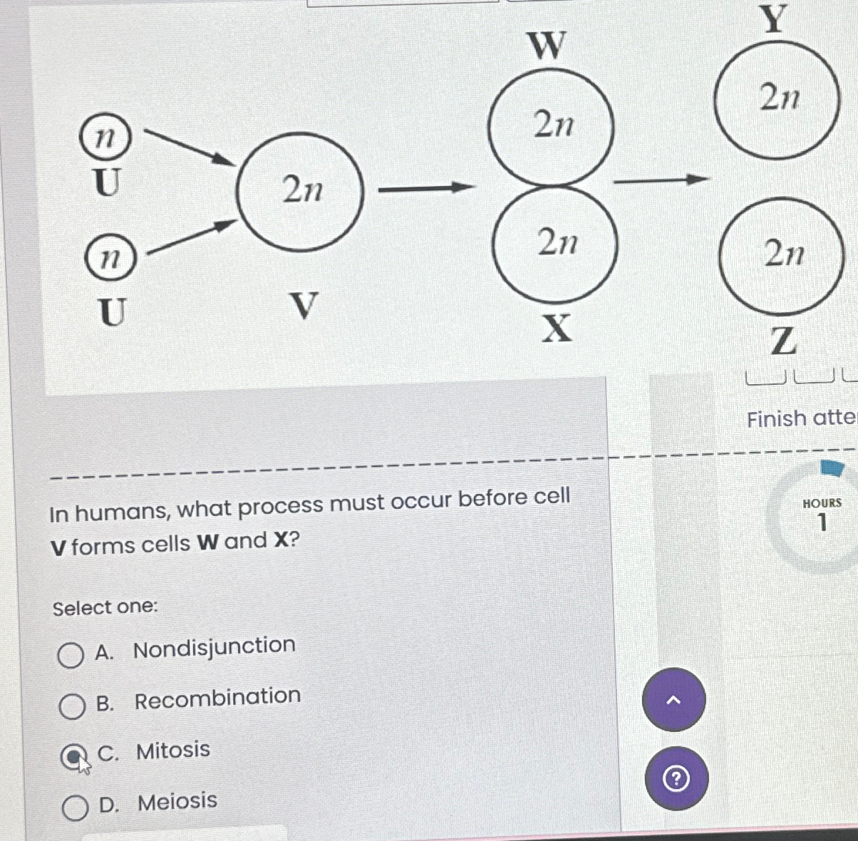 Solved Finish atteIn humans, what process must occur before | Chegg.com