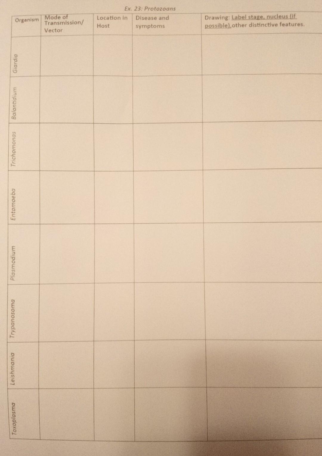 Organism Mode of Transmission/ Vector Ex. 23: Protozoans Location in Disease and Host symptoms Drawing: Label stage, nucleus