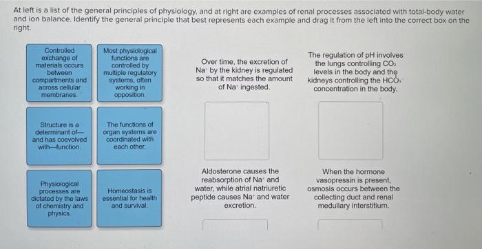 At left is a list of the general principles of physiology, and at right are examples of renal processes associated with total