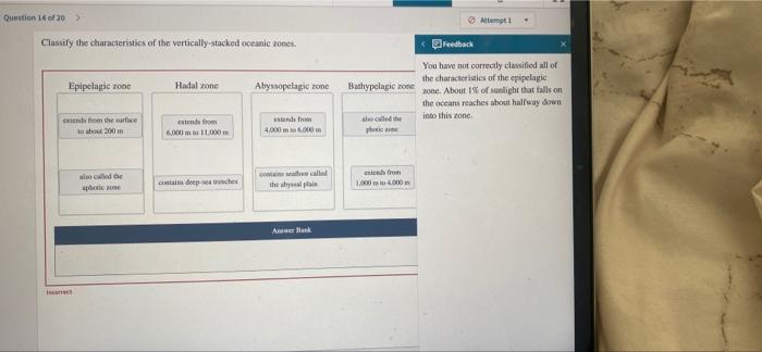 Question 14 of 20 >
Classify the characteristics of the vertically-stacked oceanic zones.
Epipelagic zone
Hadal zone
extends 