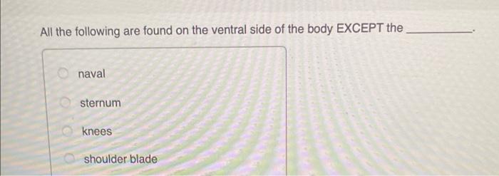 Solved All the following are found on the ventral side of | Chegg.com