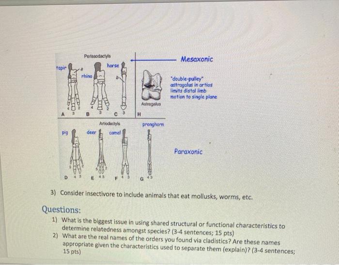 Solved Claws or hooves Number of digits on front foot Diet