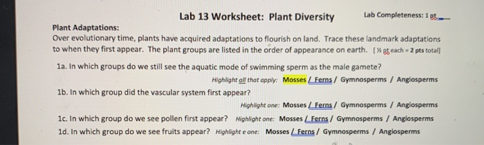 Solved: Lab 13 Worksheet: Plant Diversity Plant Adaptation... | Chegg.com