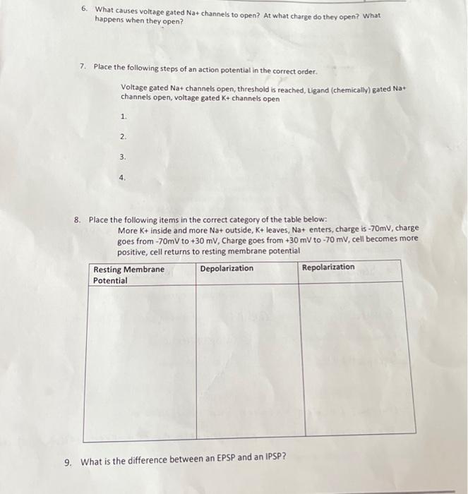 Solved 6. What causes voltage gated Na+ channels to open? At | Chegg.com