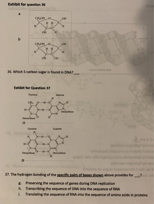 Solved 36. Which 5carbon sugar is found in DNA? ___37. The