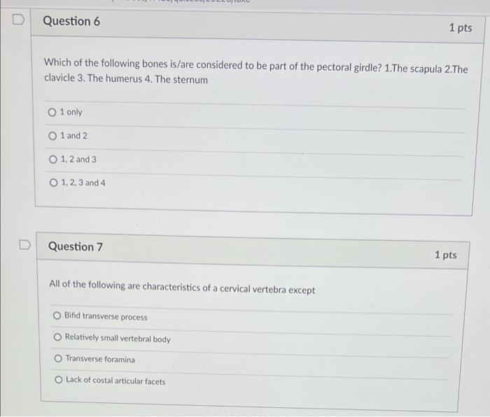 Solved Question 4 1 Pts Which Of The Following Soft Tissue