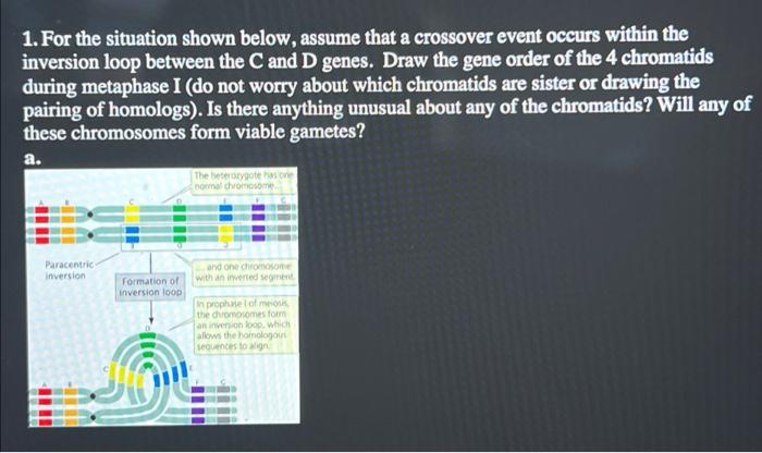 Solved 1. For the situation shown below, assume that a | Chegg.com