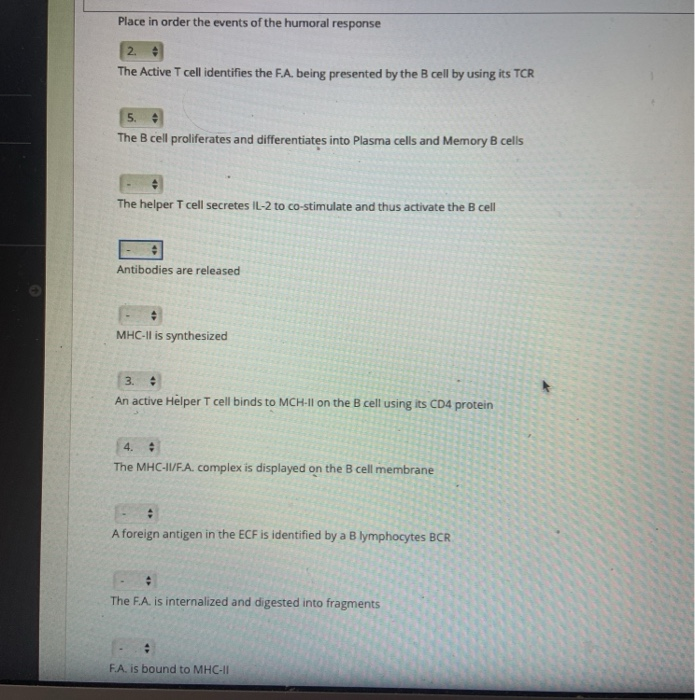 Solved Place in order the events of the humoral response 2 | Chegg.com