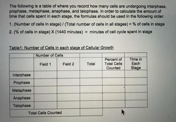 24. Display your filled Table 1: Number if Cells in | Chegg.com