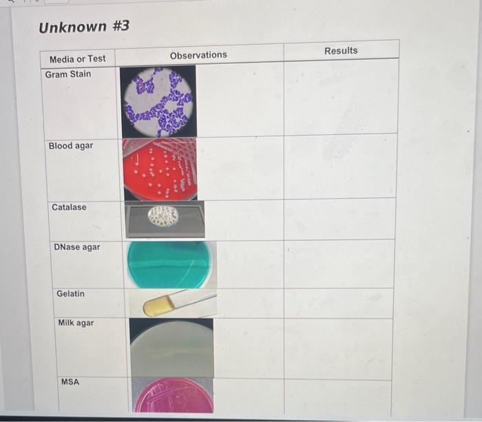 Solved Unknown \#3 The document below contains pictures | Chegg.com