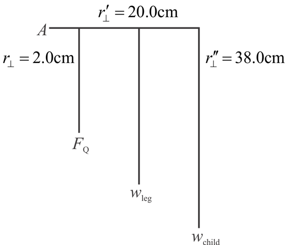 Solved A father lifts his child as shown in Figure 9.43. What for