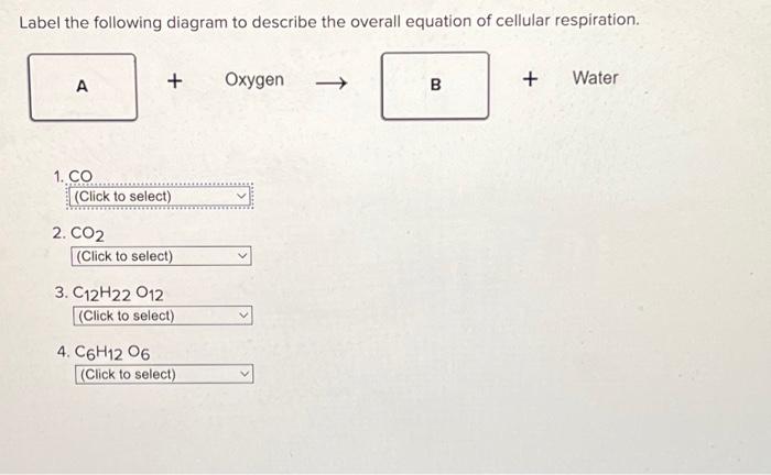 Solved Label the following diagram to describe the overall | Chegg.com