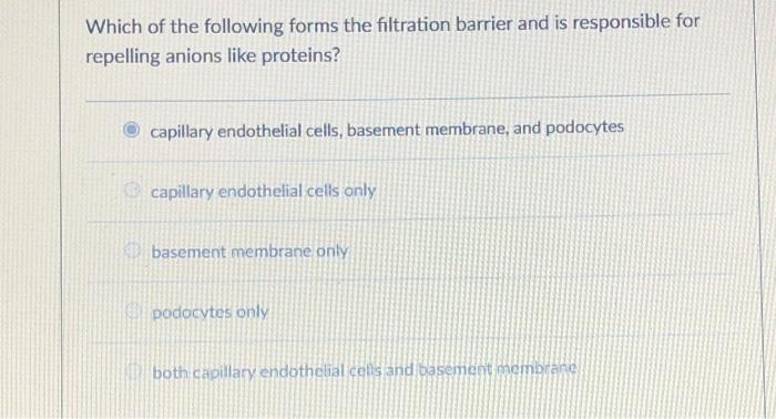 Solved Which of the following forms the filtration barrier | Chegg.com
