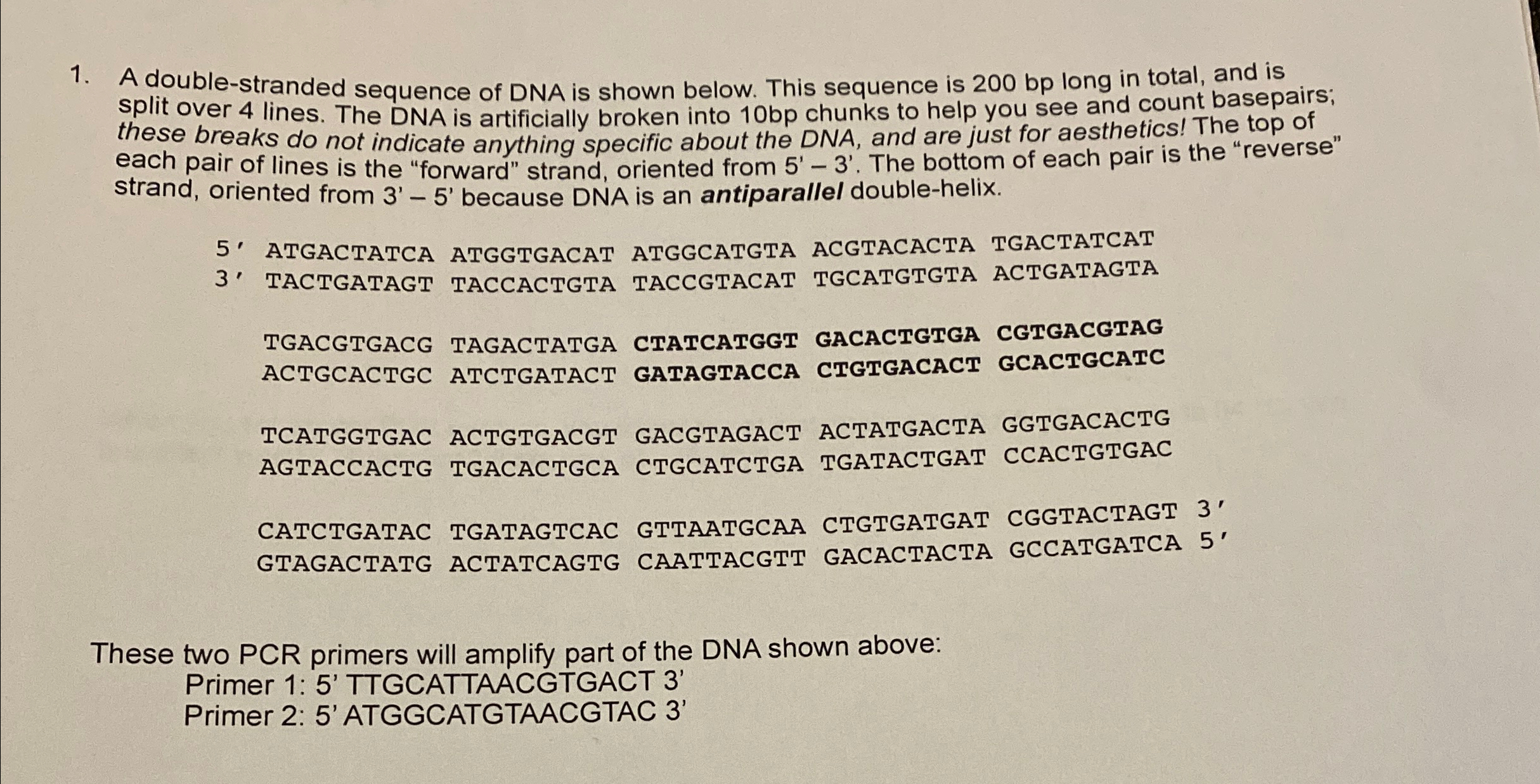 Solved A double-stranded sequence of DNA is shown below. | Chegg.com