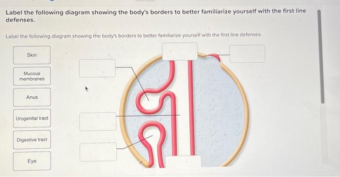 Solved Label the following diagram showing the body's | Chegg.com