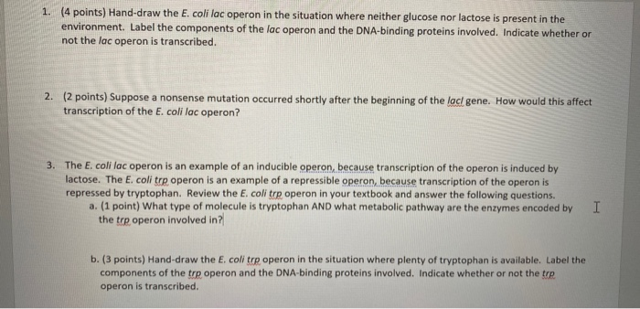 Solved 1. (4 points) Hand-draw the E. coli lac operon in the | Chegg.com