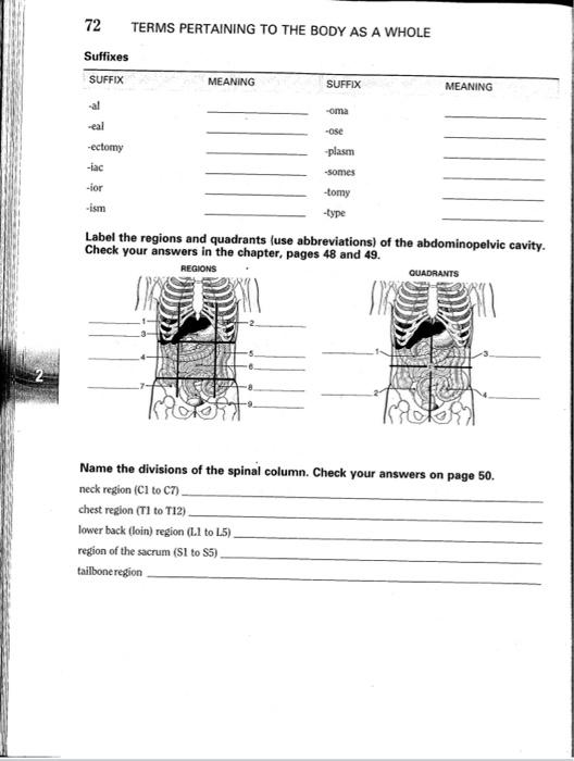 72 TERMS PERTAINING TO THE BODY AS A WHOLE
Label the regions and quadrants (use abbreviations) of the abdominopelvic cavity. 