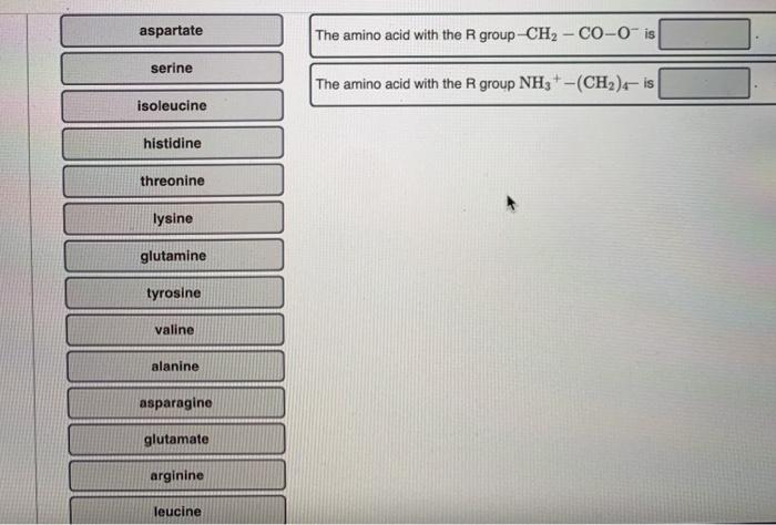 Solved Identify the amino acids below:-CH2 - CO - NH2 and HO | Chegg.com