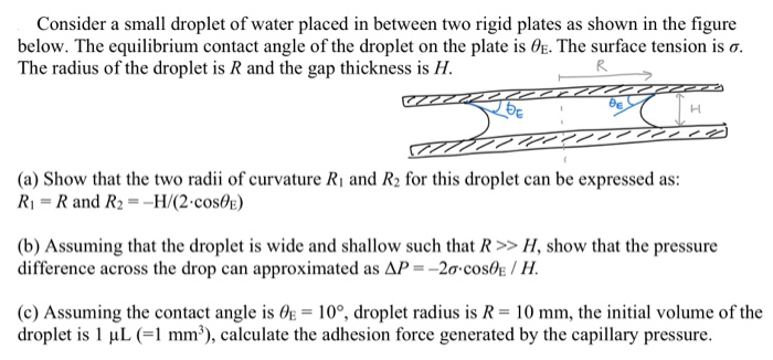 Solved Consider a small droplet of water placed in between | Chegg.com