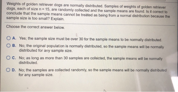 Serene Weights Of Golden Retriever Dogs Are Normally Distributed Background Art Serene Weights Of Golden Retriever Dogs Are Normally Distributed Background Art