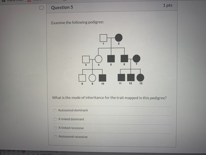 Solved Dual Cell 1 pts D Question 5 Examine the following | Chegg.com