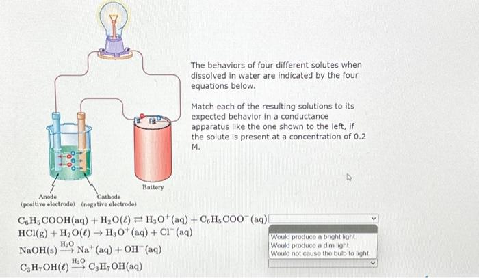 Solved The behaviors of four different solutes when | Chegg.com