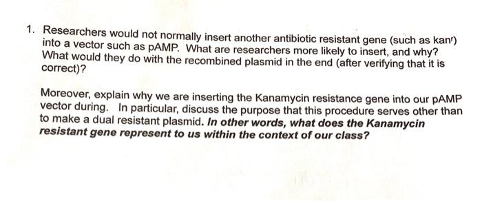 1. Researchers would not normally insert another antibiotic resistant gene (such as kanr) into a vector such as pAMP. What ar