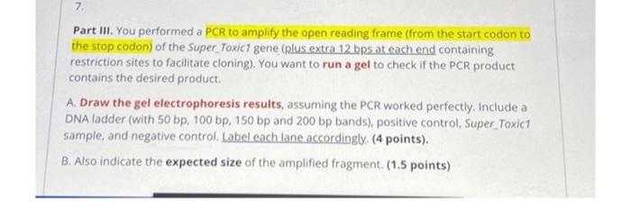 Solved Part III. You performed a PCR to amplify the open | Chegg.com