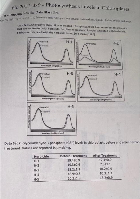 Solved Bio 201 Lab 9 - Photosynthesis Levels in Chloroplasts | Chegg.com