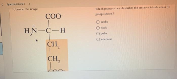 Solved Question 7 of 24 > Consider the amino acid side | Chegg.com