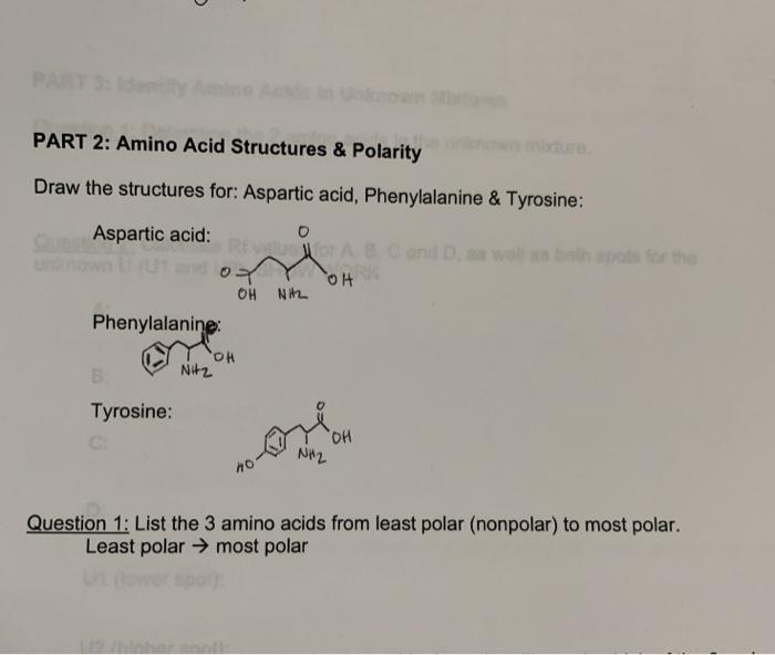 Solved PART 2 Amino Acid Structures & Polarity Draw the