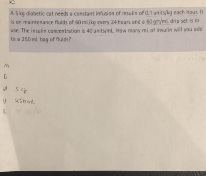 XC: A 5kg diabetic cat needs a constant infusion of insulin of 0.1 units/kg each hour. It is on maintenance fluids of 60 ml/k