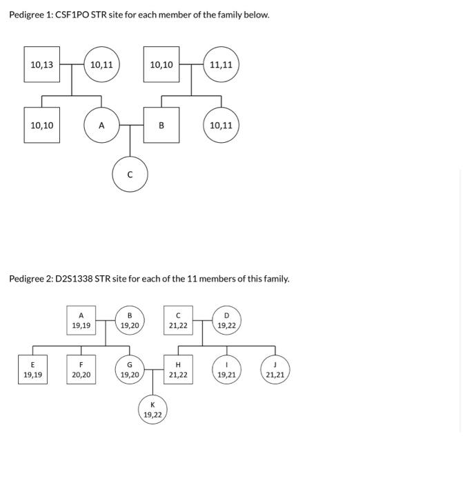 Solved Pedigree 1: CSF1PO STR site for each member of the | Chegg.com