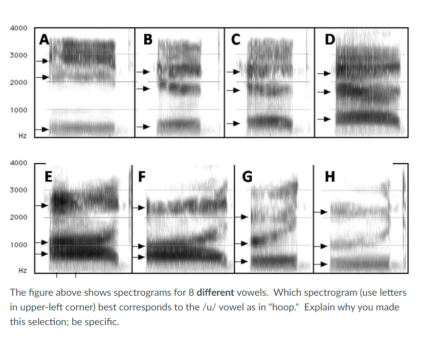 The figure above shows spectrograms for 8 ﻿different | Chegg.com