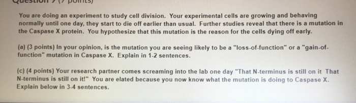 Solved You are doing an experiment to study cell division. | Chegg.com