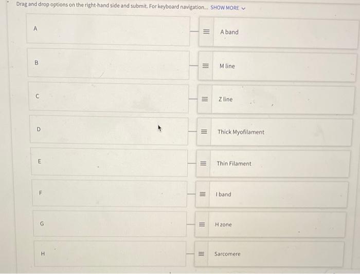 Solved Match the following structures or regions with the | Chegg.com