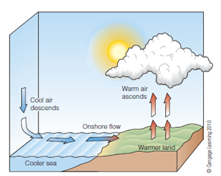 Solved: What holds up the thermocline? Wouldn’t water slowly warm ...
