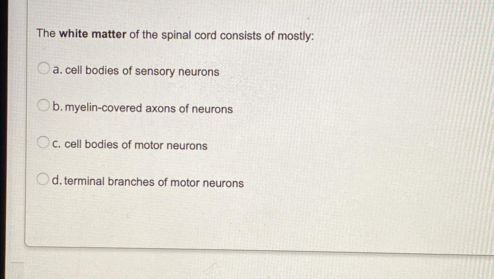 Solved The white matter of the spinal cord consists of | Chegg.com
