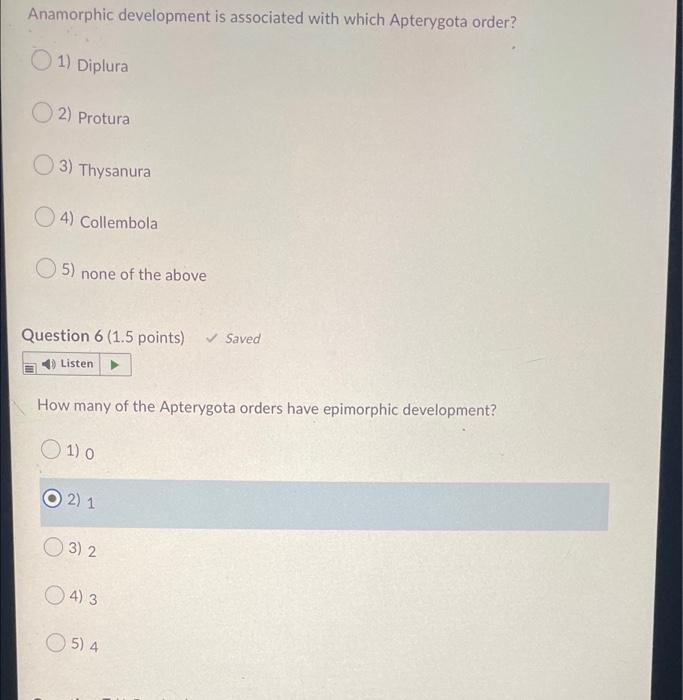 Solved Anamorphic development is associated with which | Chegg.com
