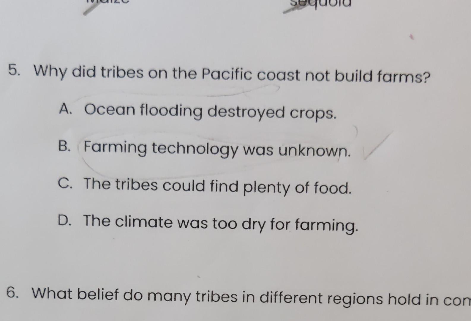 5. Why did tribes on the Pacific coast not build
