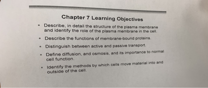 Solved Chapter 7 Learning Objectives - Describe, in detail | Chegg.com