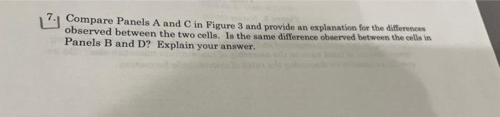 Solved 110mon7. Compare Panels A and C in Figure 3 and | Chegg.com