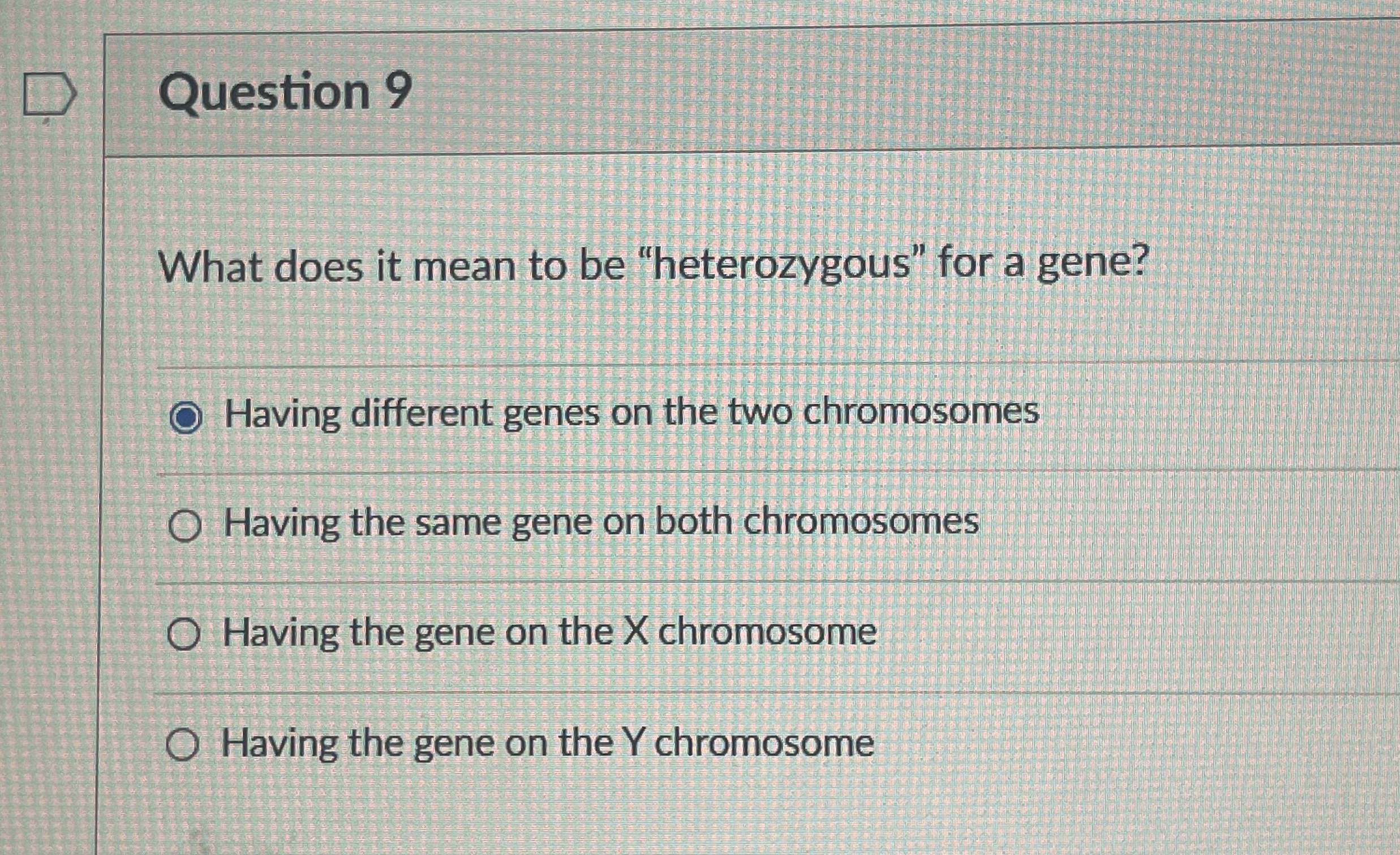 What Does Heterozygous Mean? Sandra'S Eye Shape Holds The Answer - s75zc13
