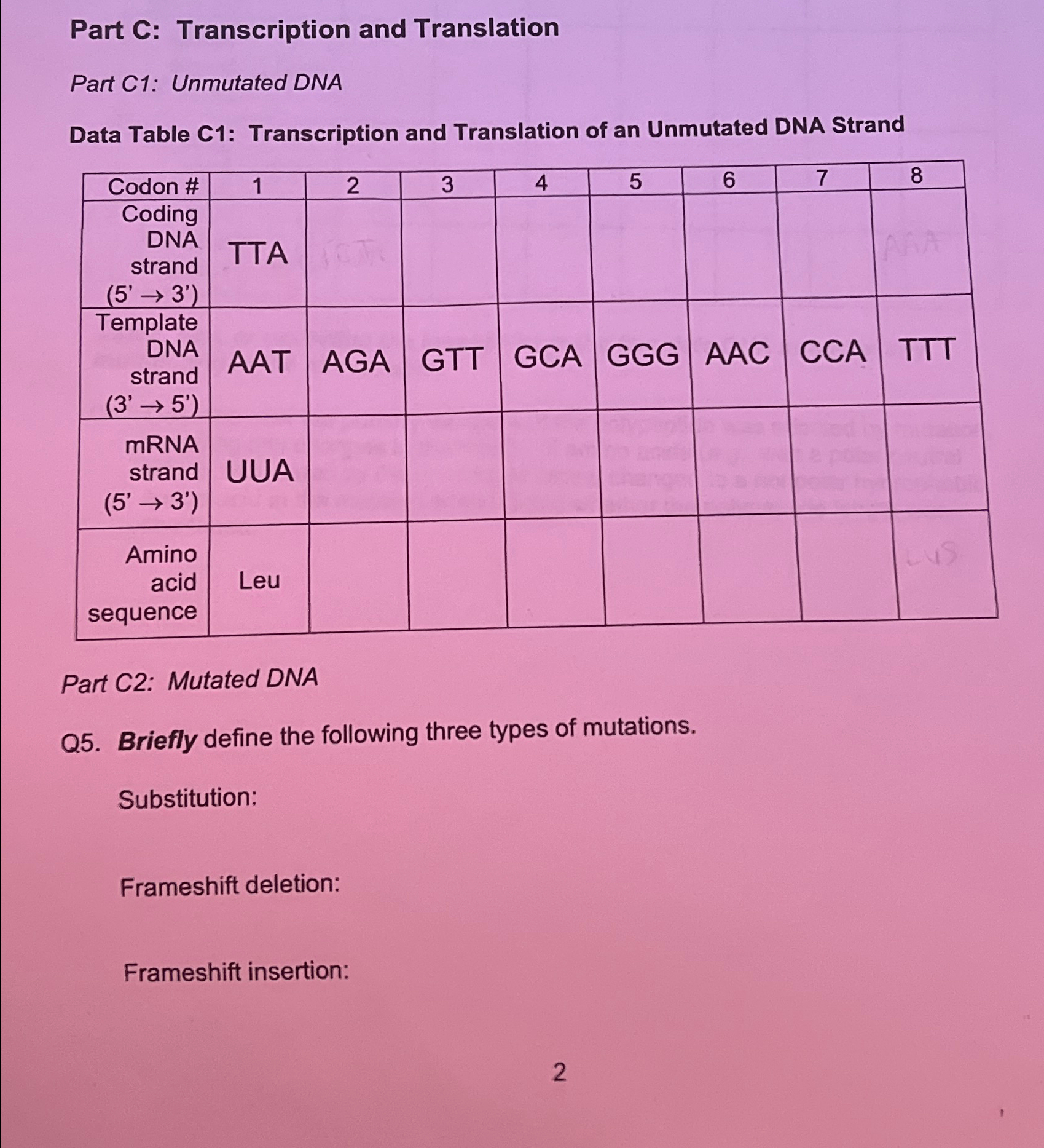 Part C: Transcription and TranslationPart C1: | Chegg.com