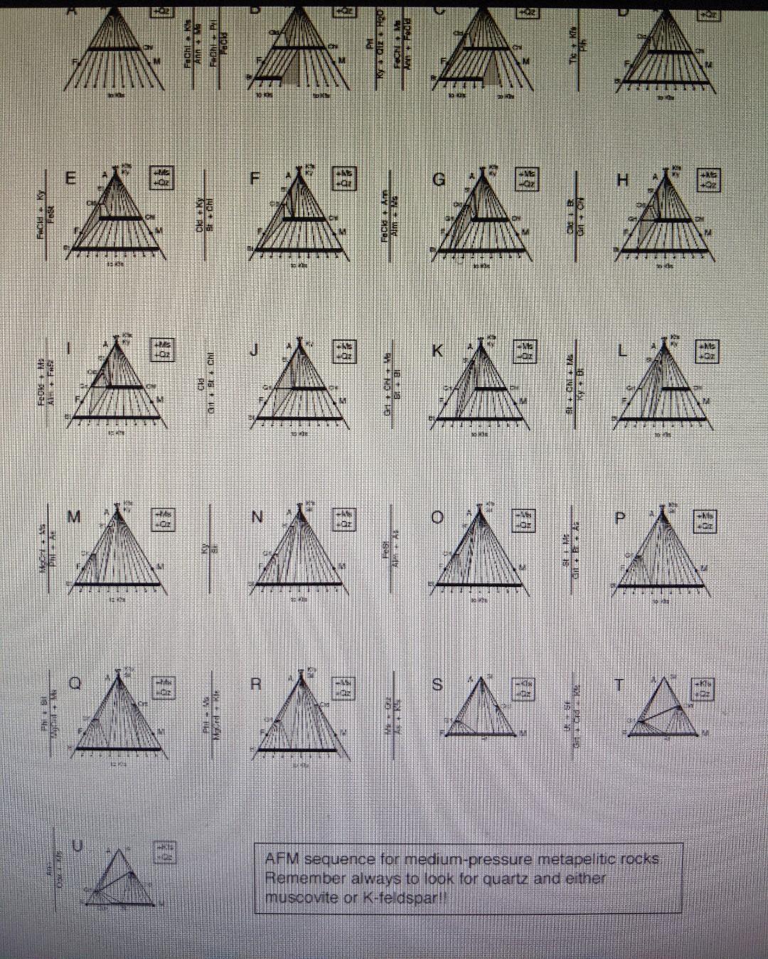 Solved 9. You find an outcrop of metapelitic rocks in the | Chegg.com