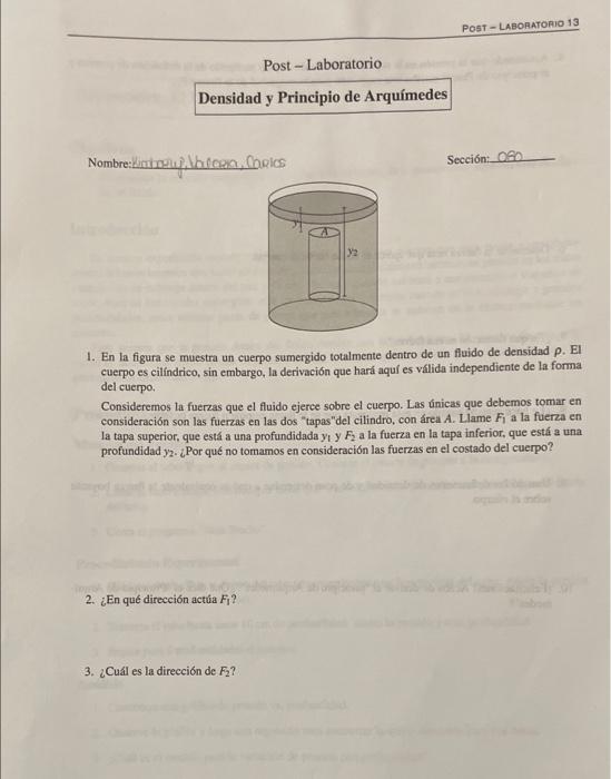 1. En la figura se muestra un cuerpo sumergido totalmente dentro de un fluido de densidad \( \rho \). El cuerpo es cilindrico