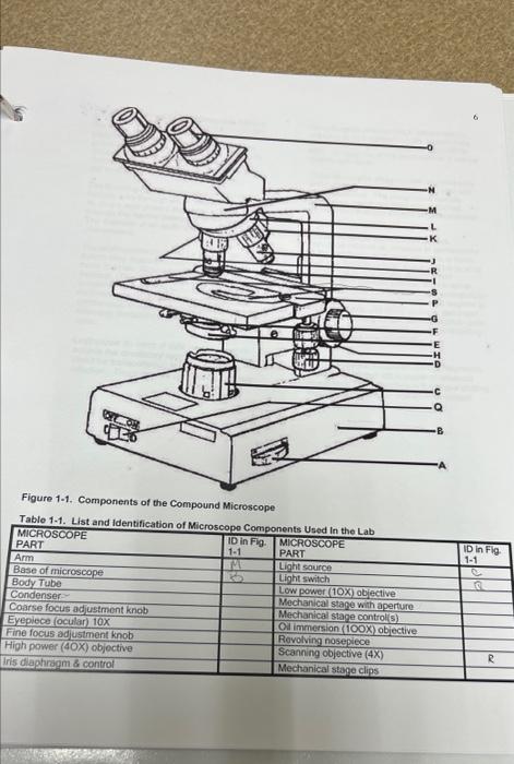 Solved Figure t-1. Components of the Compound Microscope | Chegg.com