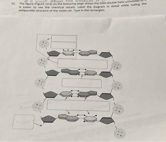Solved is easier to see the chemical details. Label the | Chegg.com