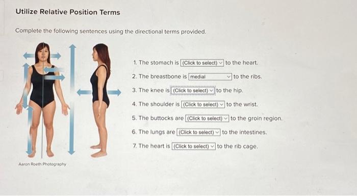 Solved Utilize Relative Position Terms Complete the | Chegg.com